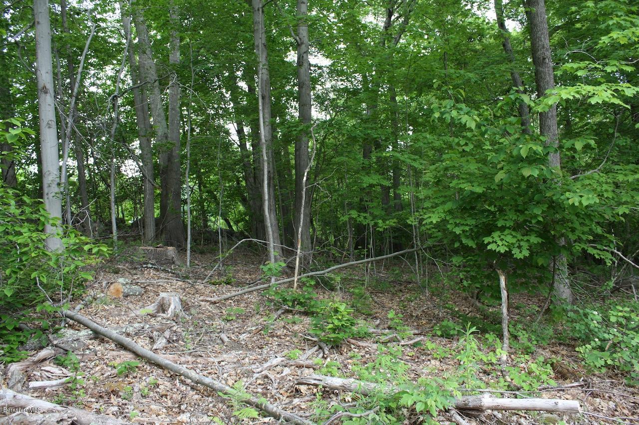 0 Brewer Branch Road Mill River, MA 01244 - Photo 3 of 5 Top of lot to North-wall
