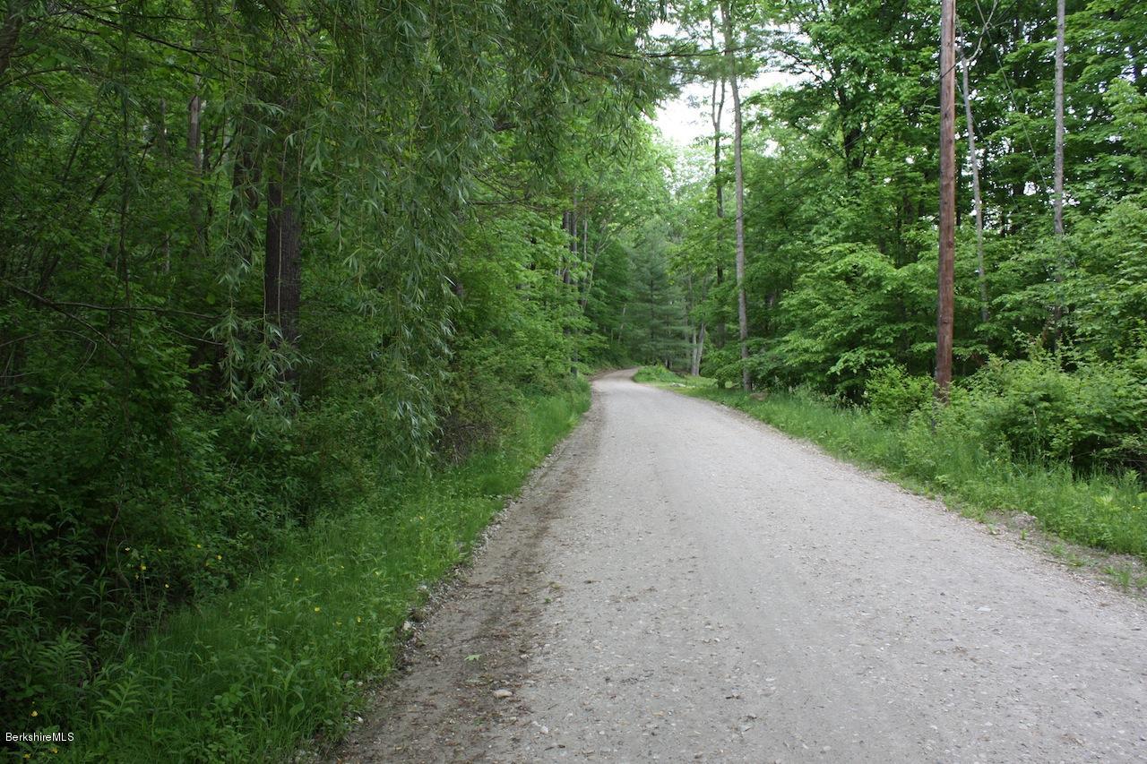 0 Brewer Branch Road Mill River, MA 01244 - Photo 5 of 5 Brewer Branch to East