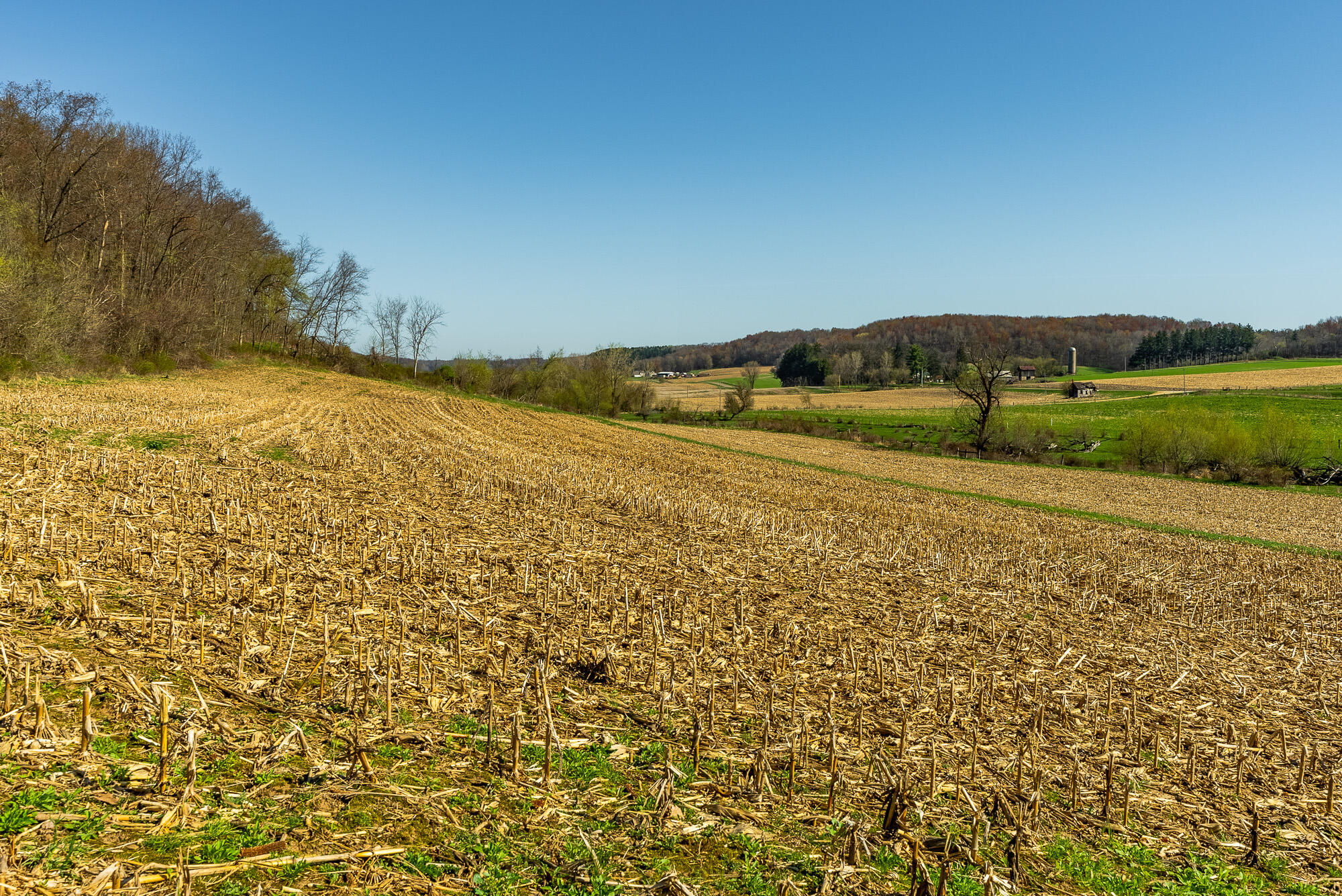 Lt2 Eli Valley Road Hillpoint, WI 53937 - Photo 12 of 47 Sauk-County-WI-53-Acres-Land-For-Sale-12