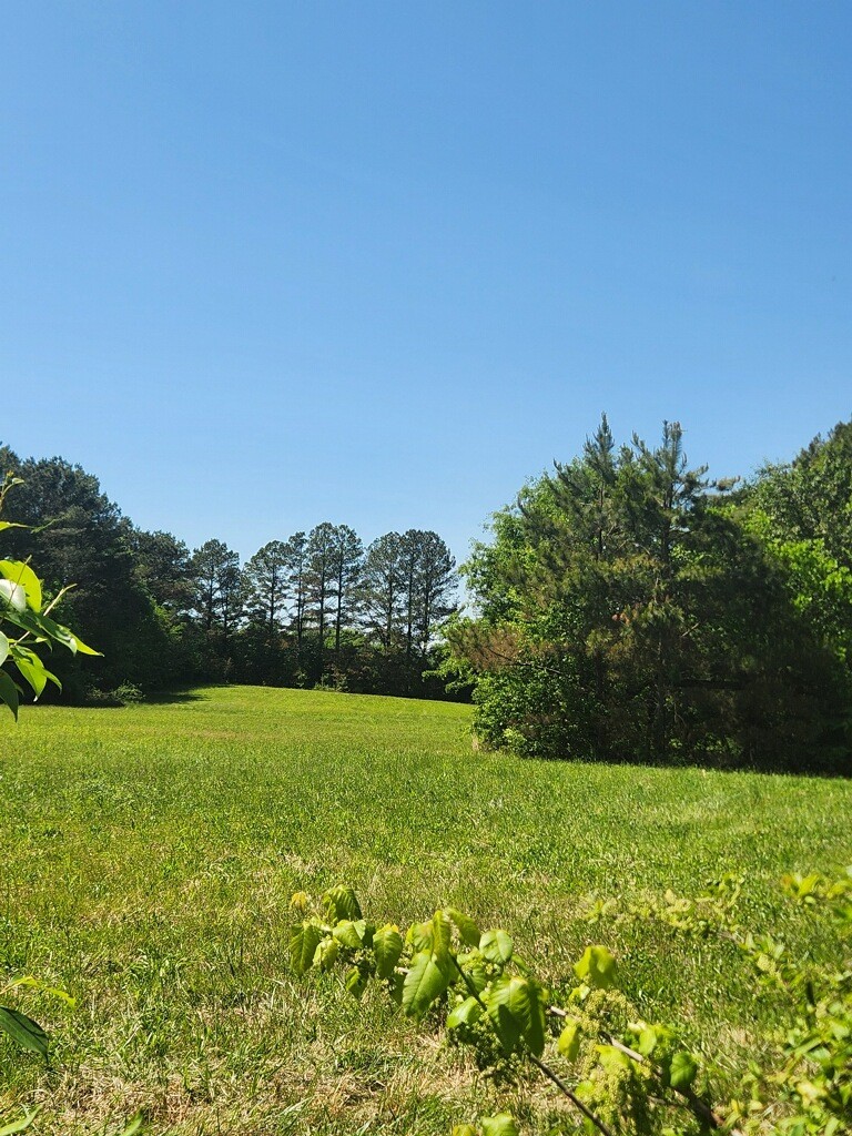 307 Stribling Road Lawrenceburg, TN 38464 - Photo 5 of 26