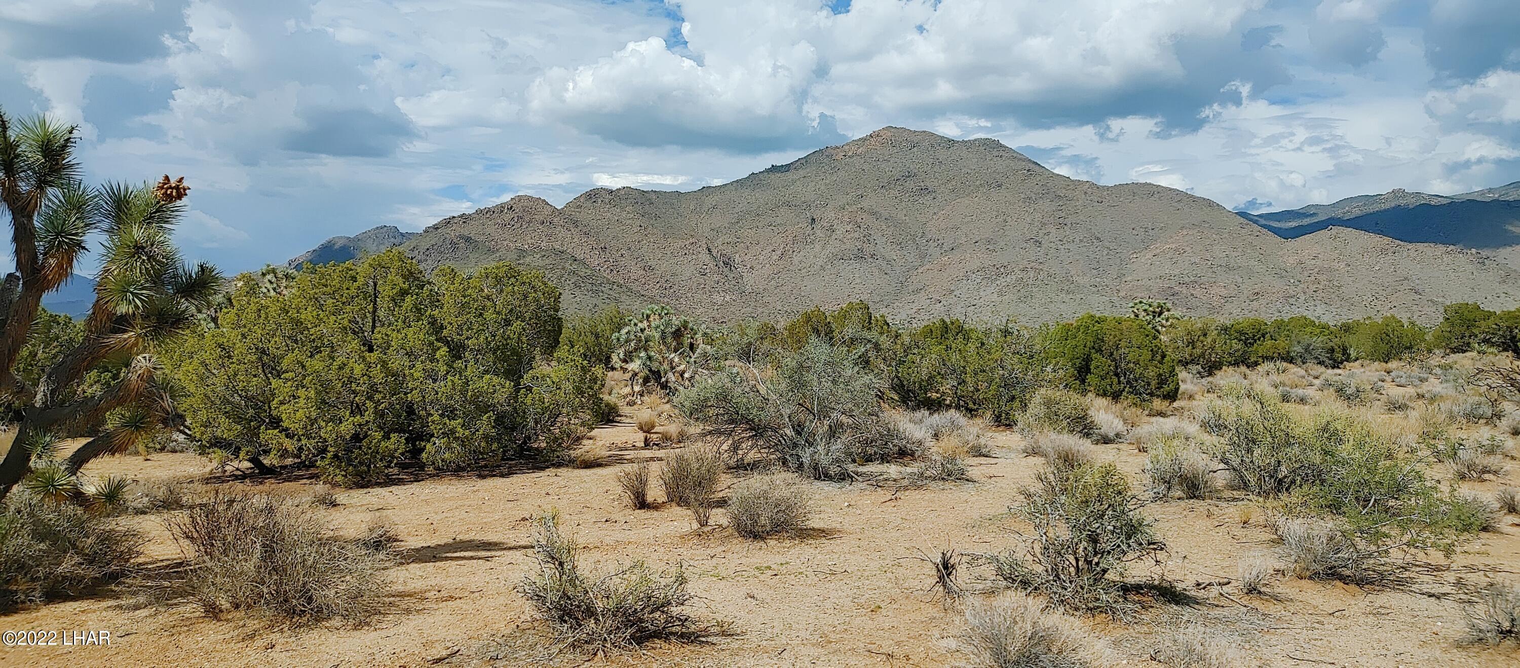 5 South Rifle Road Yucca, AZ 86438 - Photo 2 of 7 Mountain views
