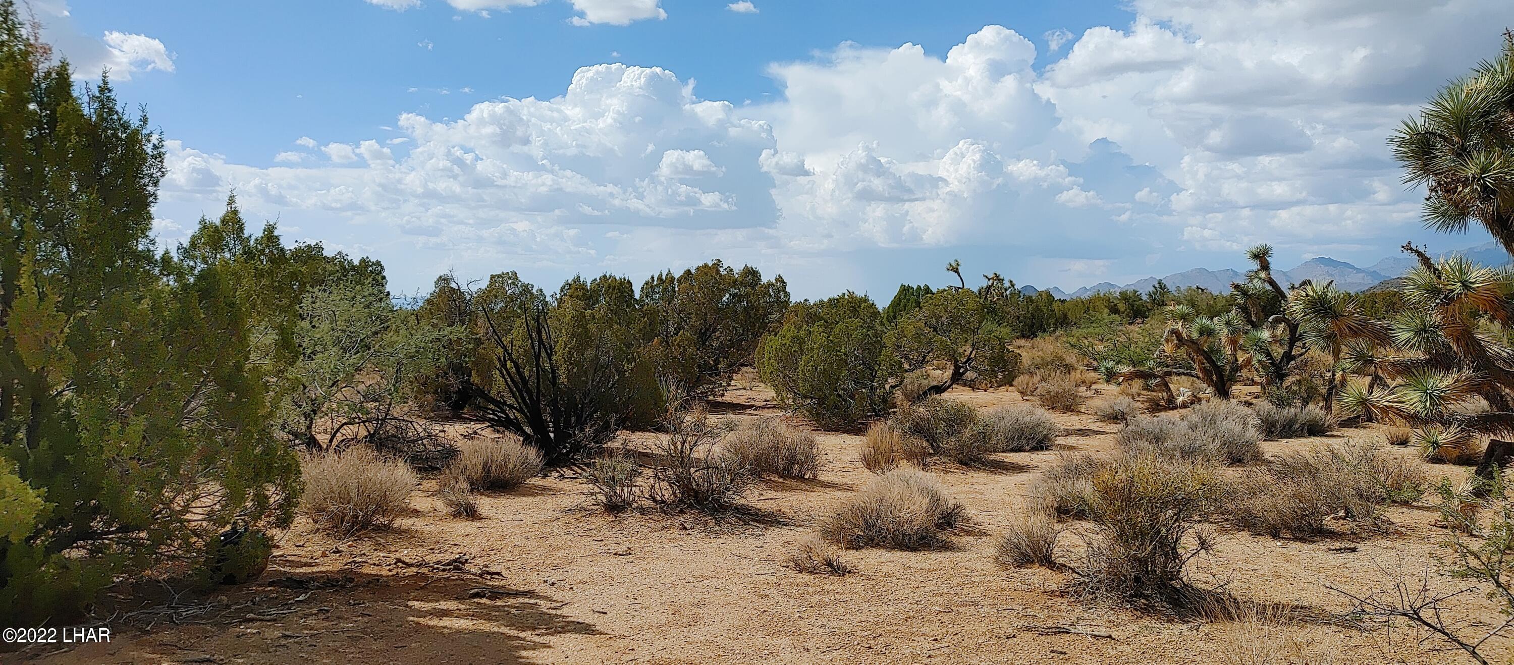 5 South Rifle Road Yucca, AZ 86438 - Photo 3 of 7 40 Acres