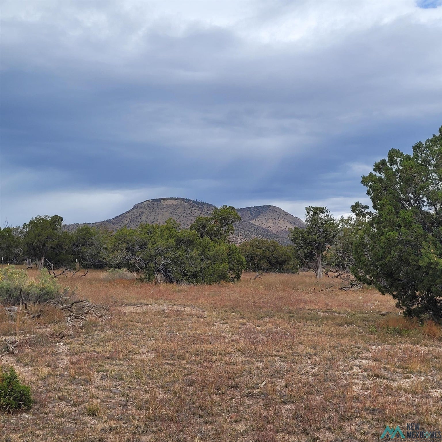 15 Elk Court Datil, NM 87821 - Photo 16 of 17 Gallery Image 16