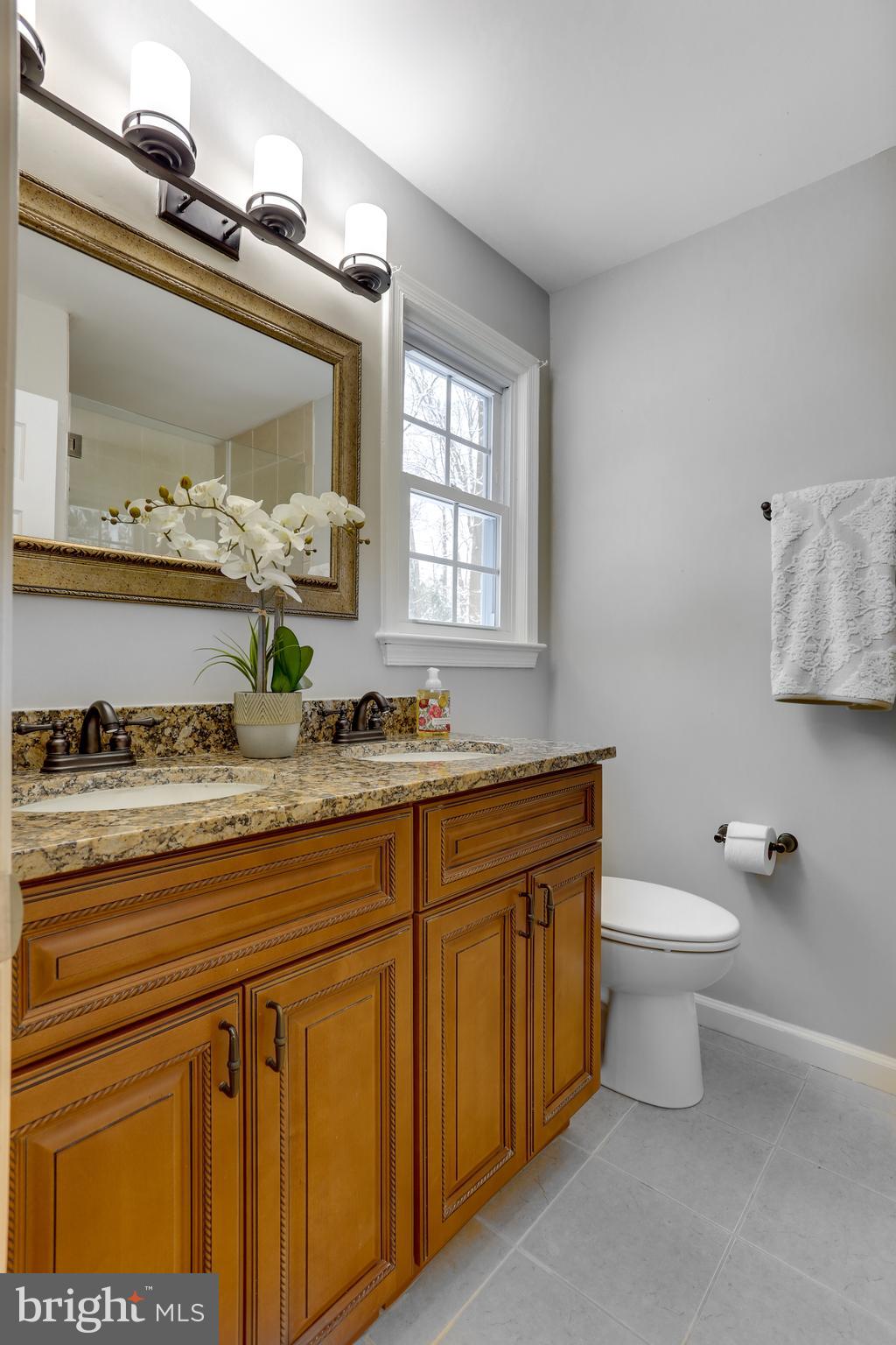 7124 Devonshire Road Alexandria, VA 22307 - Photo 31 of 66 Master Vanity and new toilet