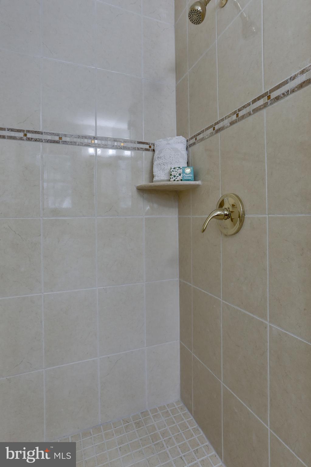 7124 Devonshire Road Alexandria, VA 22307 - Photo 32 of 66 Large walk-in shower