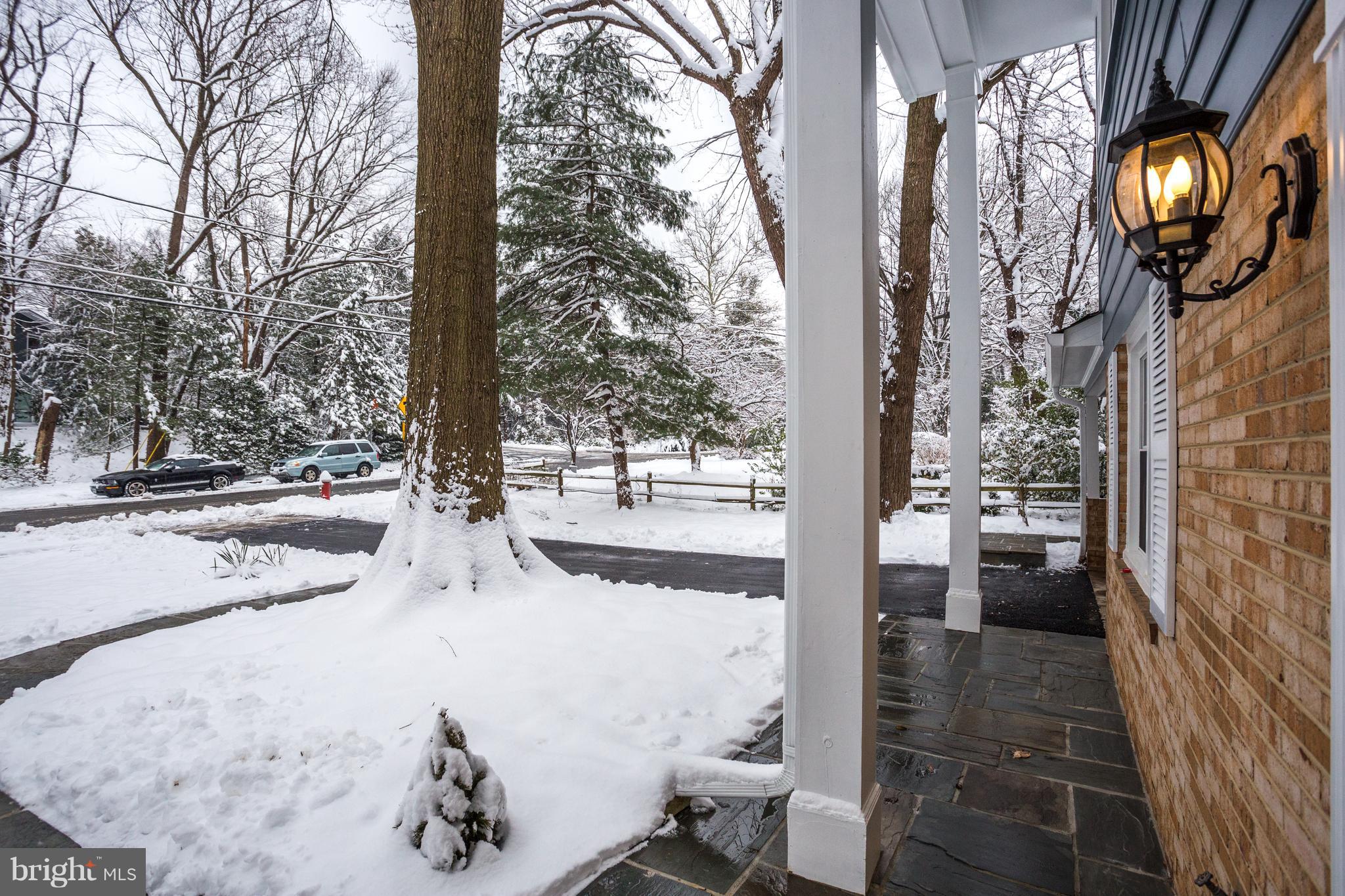 7124 Devonshire Road Alexandria, VA 22307 - Photo 49 of 66 Gorgeous Flagstone