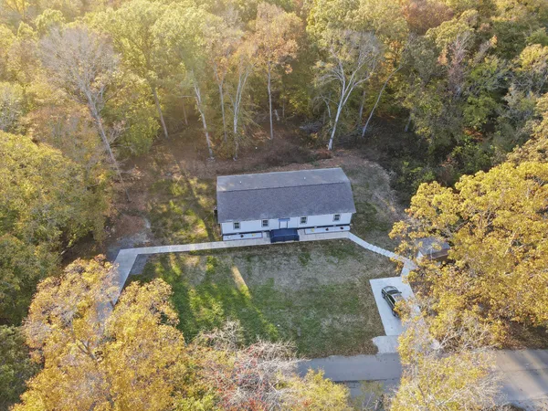 a view of a yard with plants