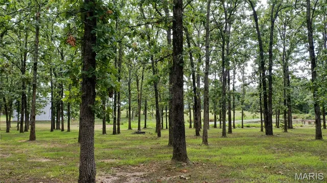 $499,000 | 3234 North Highway 19, Salem, MO 65560