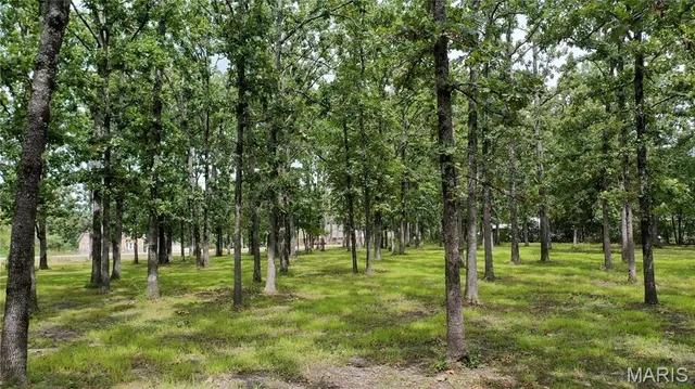 $499,000 | 3234 North Highway 19, Salem, MO 65560