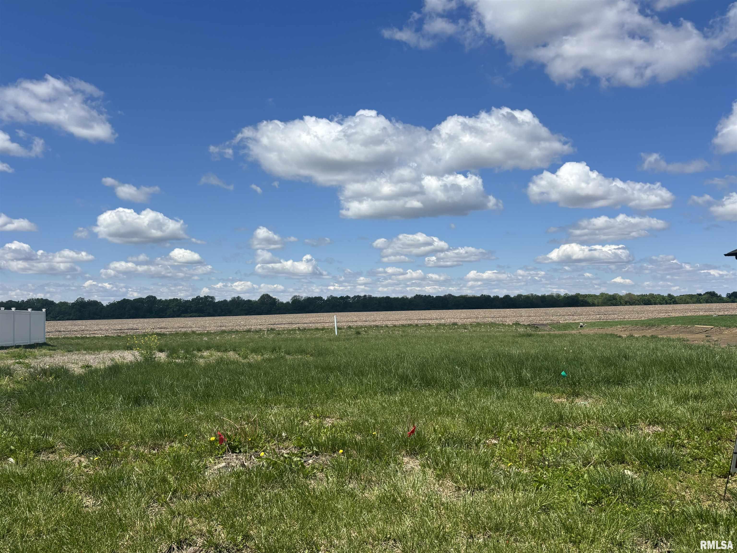 729 Nine Rock Road Sherman, IL 62684 - Photo 1 of 2 Gallery Image 1
