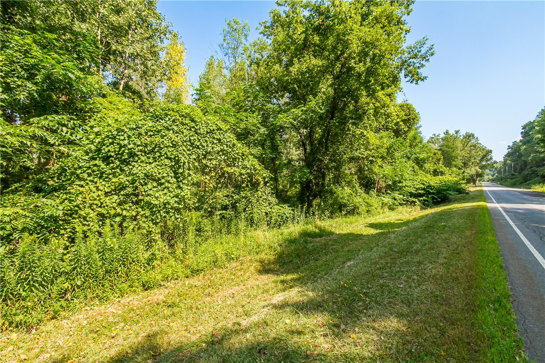 0 Blue Cut Road Arcadia, NY 14513 - Photo 2 of 6