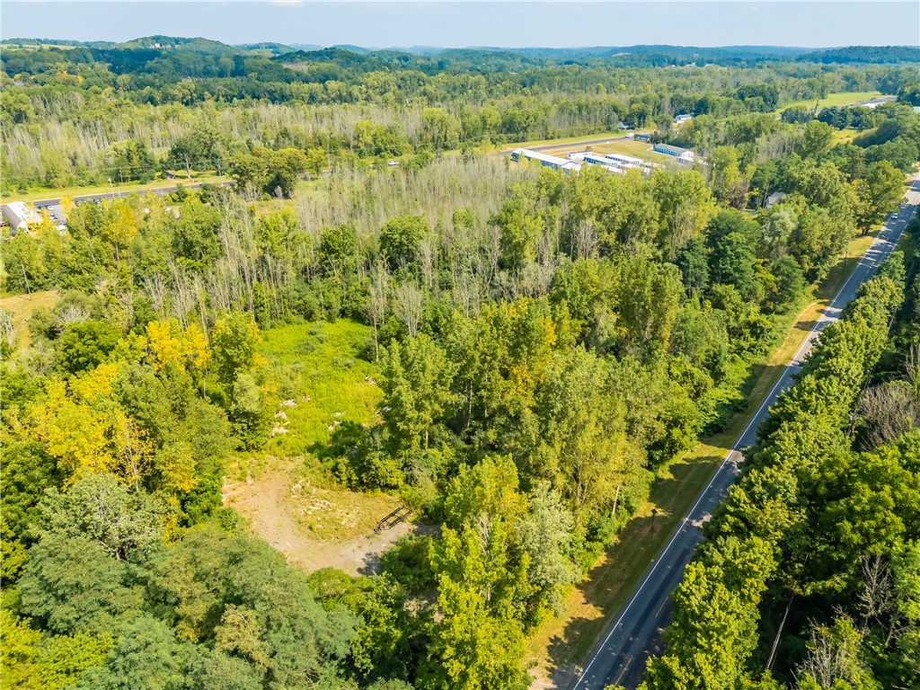 0 Blue Cut Road Arcadia, NY 14513 - Photo 3 of 6