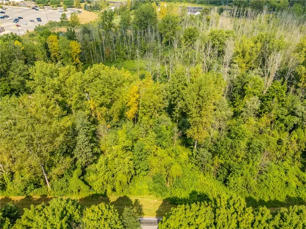 $35,000 | 0 Blue Cut Road, Arcadia, NY 14513