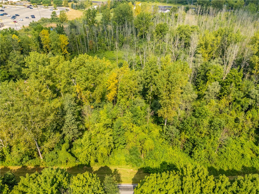 0 Blue Cut Road Arcadia, NY 14513 - Photo 4 of 6