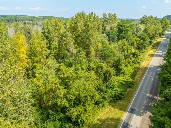 $35,000 | 0 Blue Cut Road, Arcadia, NY 14513