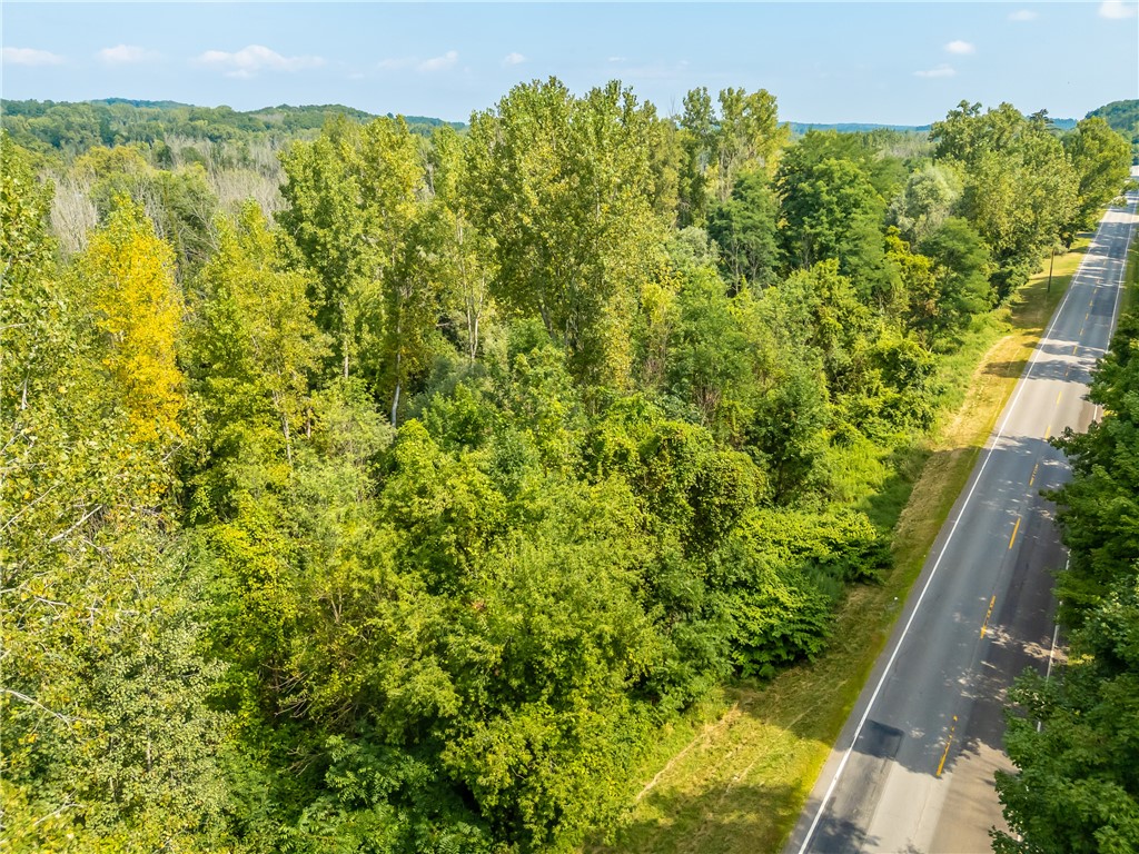 0 Blue Cut Road Arcadia, NY 14513 - Photo 5 of 6