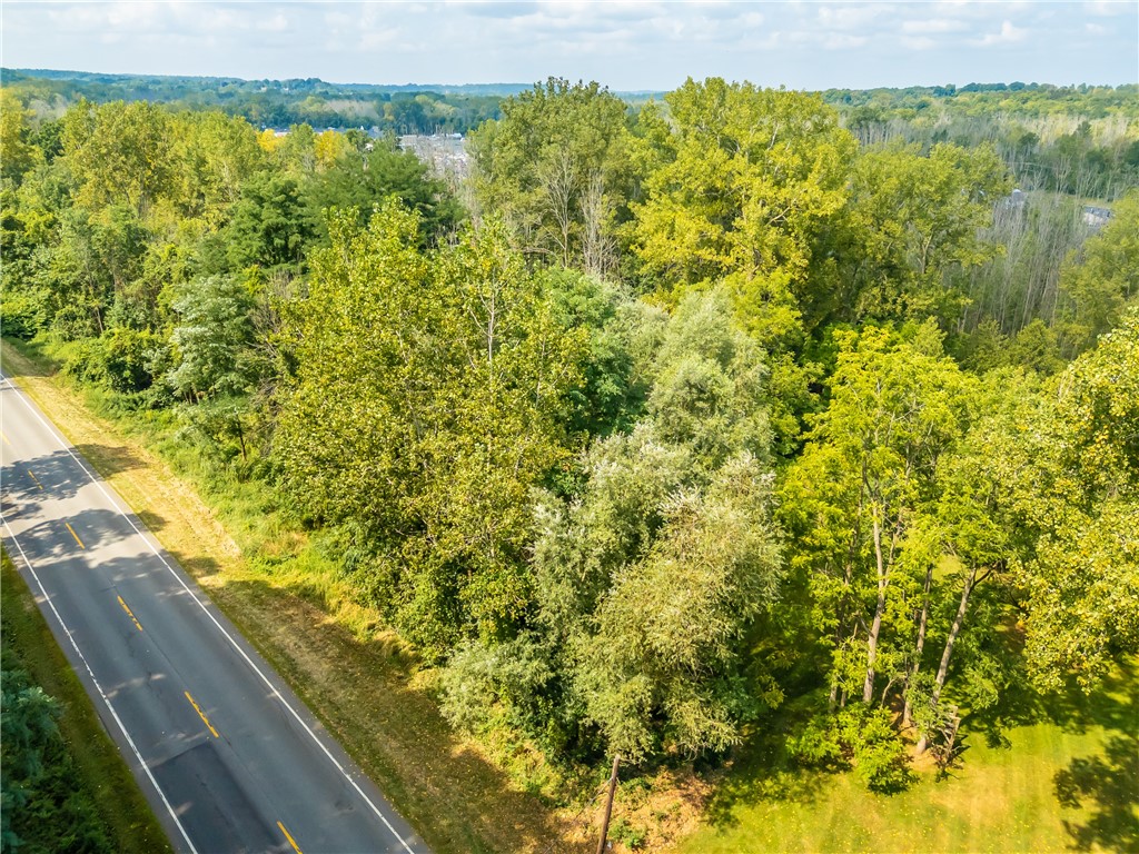 0 Blue Cut Road Arcadia, NY 14513 - Photo 6 of 6