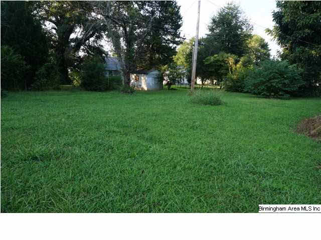 66 Spring Street Sylacauga, AL 35150 - Photo 11 of 12