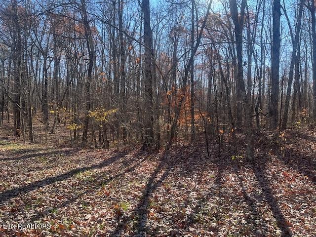 0 Sawmill Road Monterey, TN 38574 - Photo 11 of 12 a view of a yard with large trees