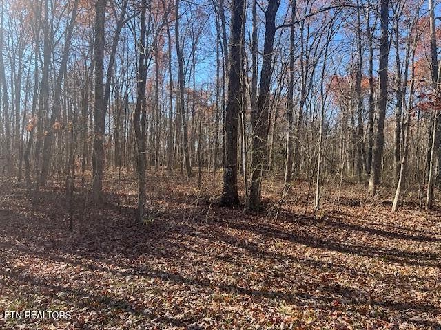 0 Sawmill Road Monterey, TN 38574 - Photo 12 of 12 a view of a backyard with trees