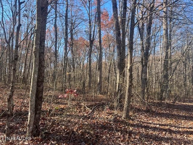 0 Sawmill Road Monterey, TN 38574 - Photo 2 of 12 a view of forest