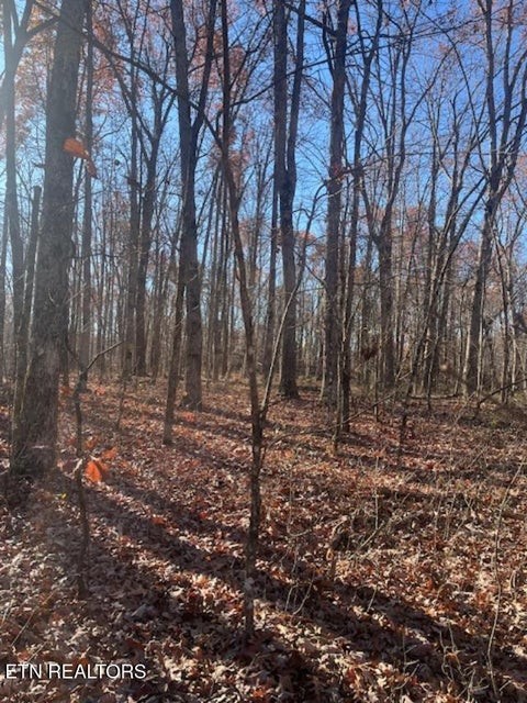 0 Sawmill Road Monterey, TN 38574 - Photo 3 of 12 a backyard of a house with lots of green space