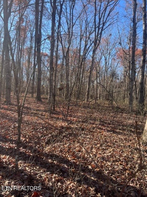 0 Sawmill Road Monterey, TN 38574 - Photo 4 of 12 a view of backyard with green space