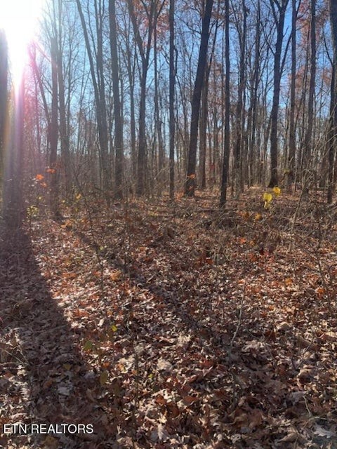 0 Sawmill Road Monterey, TN 38574 - Photo 5 of 12 a view of outdoor space with green space