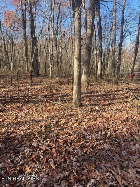 0 Sawmill Road Monterey, TN 38574 - Photo 8 of 12