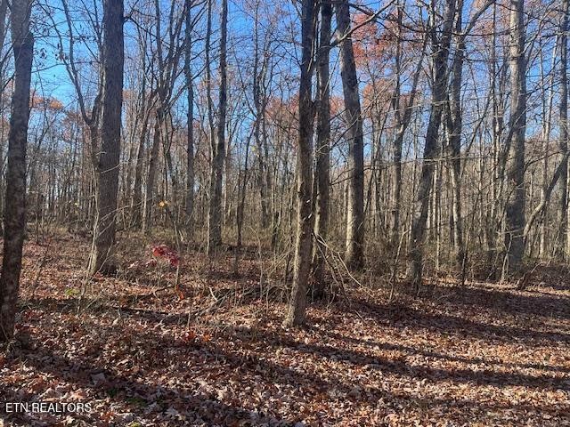 0 Sawmill Road Monterey, TN 38574 - Photo 9 of 12 a view of a backyard