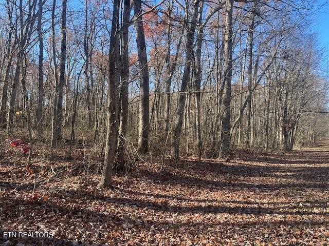 0 Sawmill Road Monterey, TN 38574 - Photo 10 of 12 a view of a backyard with large trees