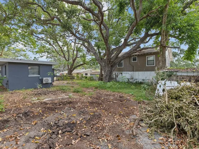 a view of a house with yard and a tree