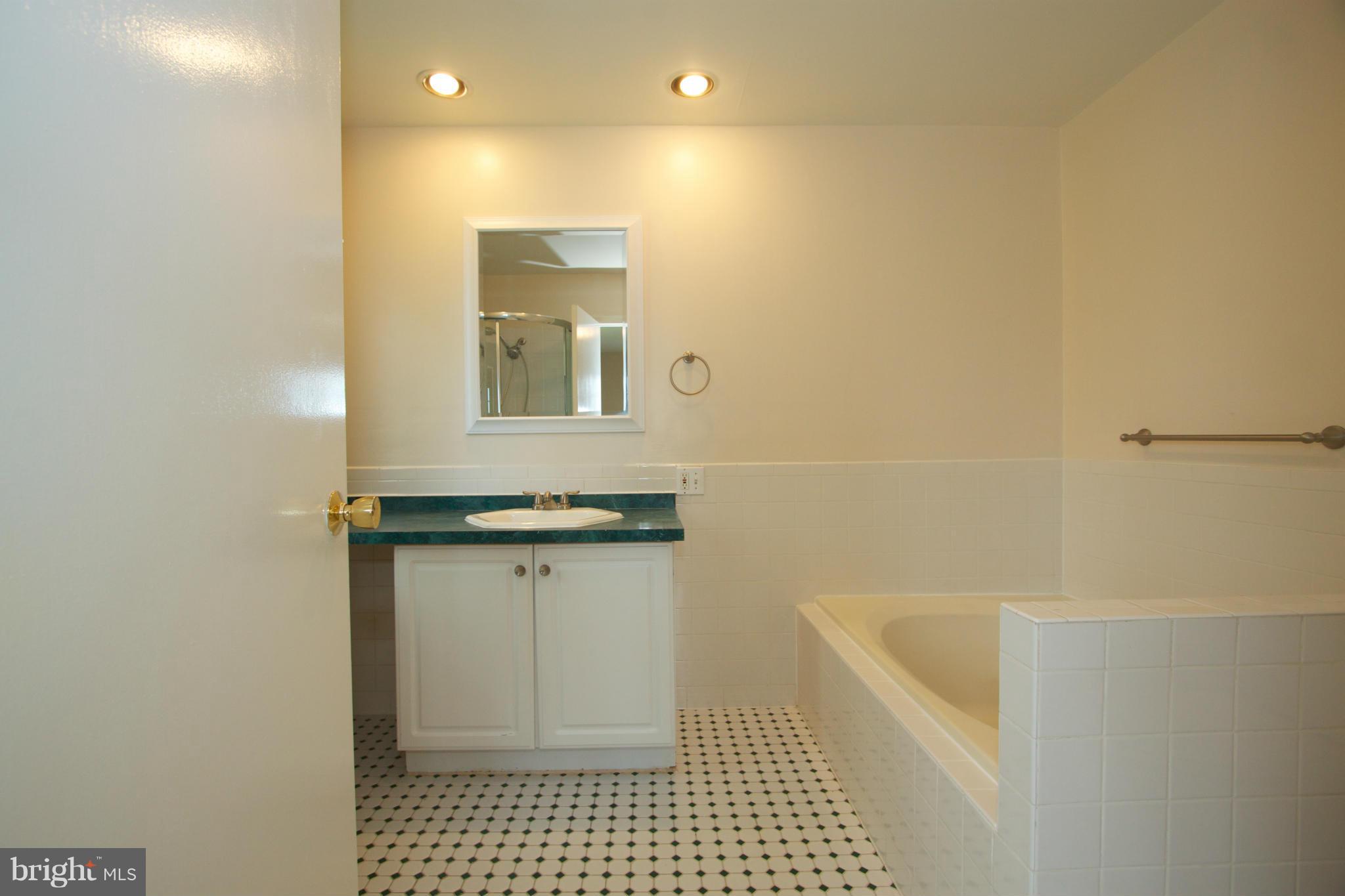 8438 Coco Road Baltimore, MD 21237 - Photo 18 of 29 a bathroom with a bathtub and a sink