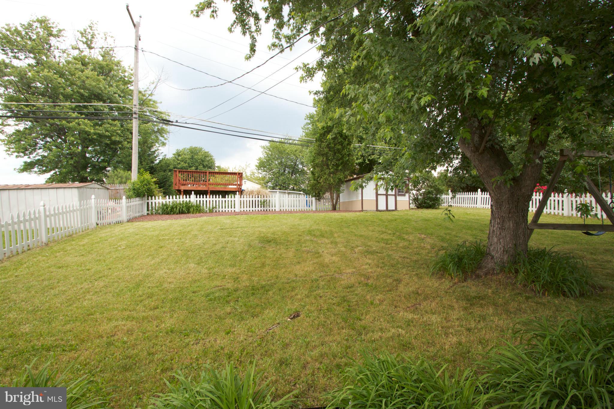 8438 Coco Road Baltimore, MD 21237 - Photo 28 of 29 a view of yard with tree and green space