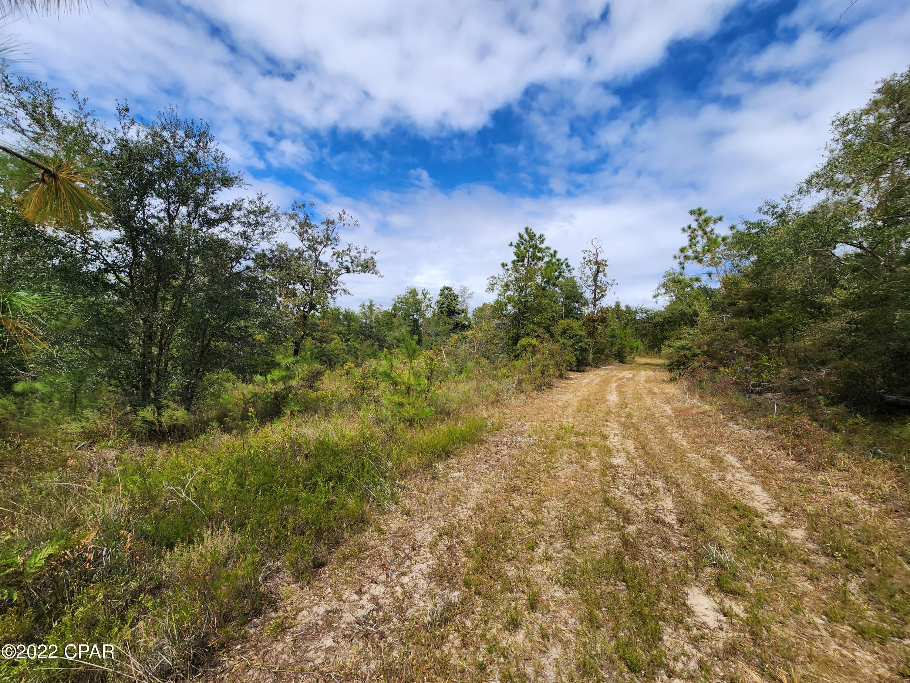 Xxx Richard Hardy Road West Bristol, FL 32321 - Photo 18 of 23
