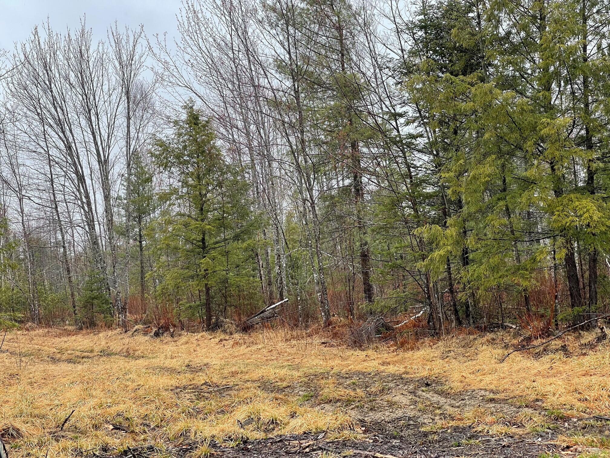 4 Mattamiscontis Road Howland, ME 04448 - Photo 3 of 6 3