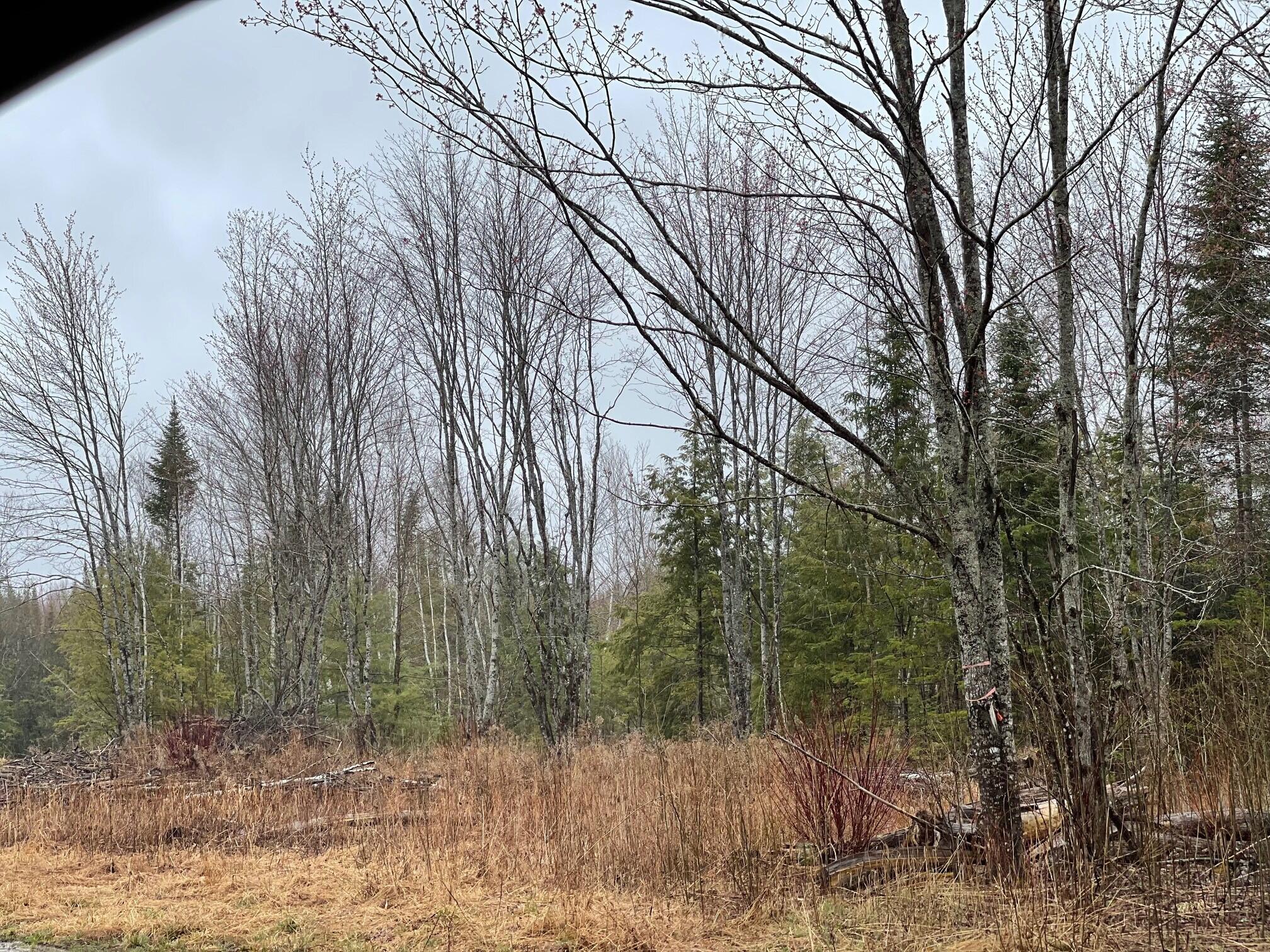 4 Mattamiscontis Road Howland, ME 04448 - Photo 6 of 6 5