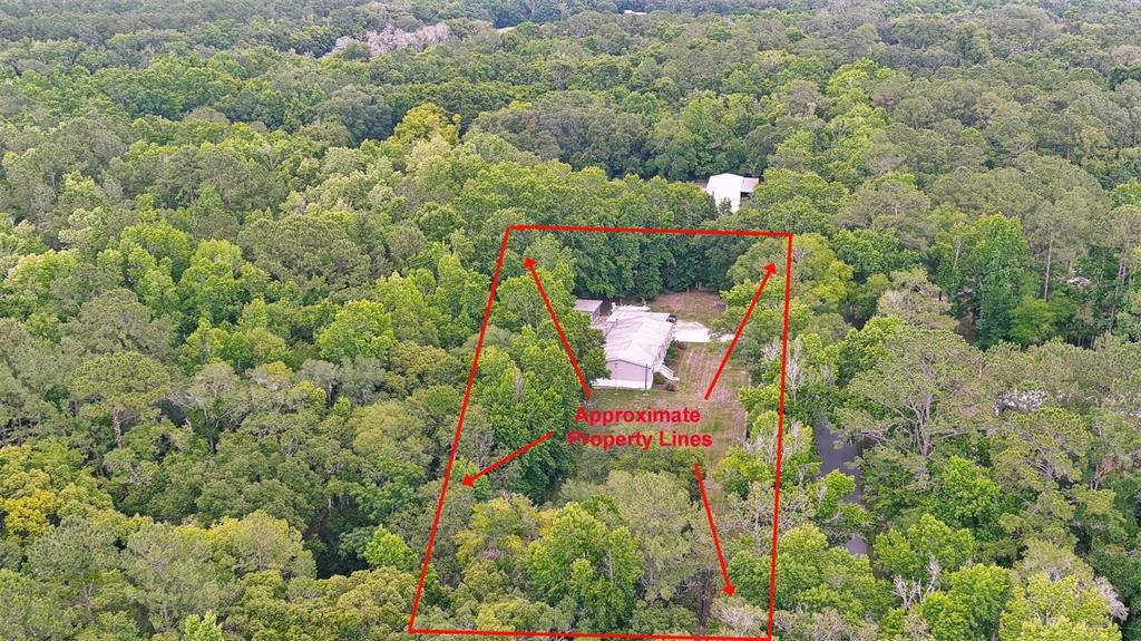 19909 Manecke Road Brooksville, FL 34601 - Photo 1 of 1 Gallery Image 1