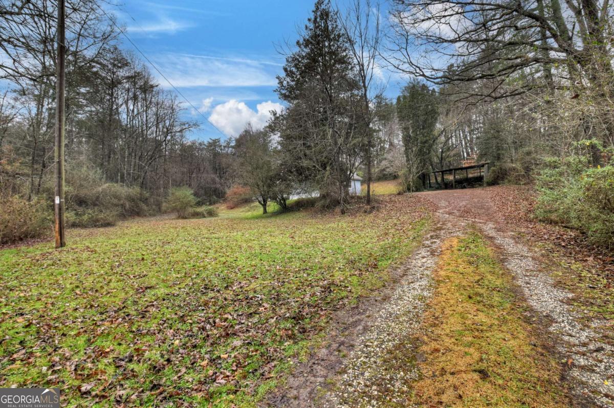 6 Old Aska Curve Blue Ridge, GA 30513 - Photo 7 of 26 a view of a yard with a tree