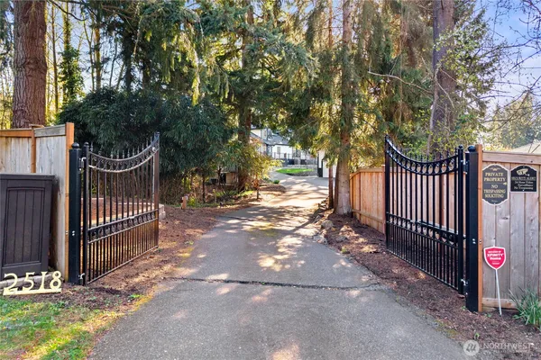 a street view with large trees and fence