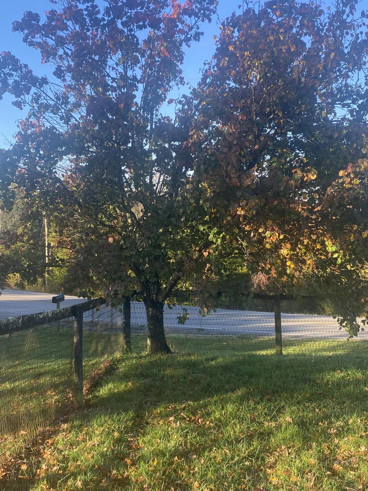 5875 Owenton Road Stamping Ground, KY 40379 - Photo 19 of 20 IMG-0722