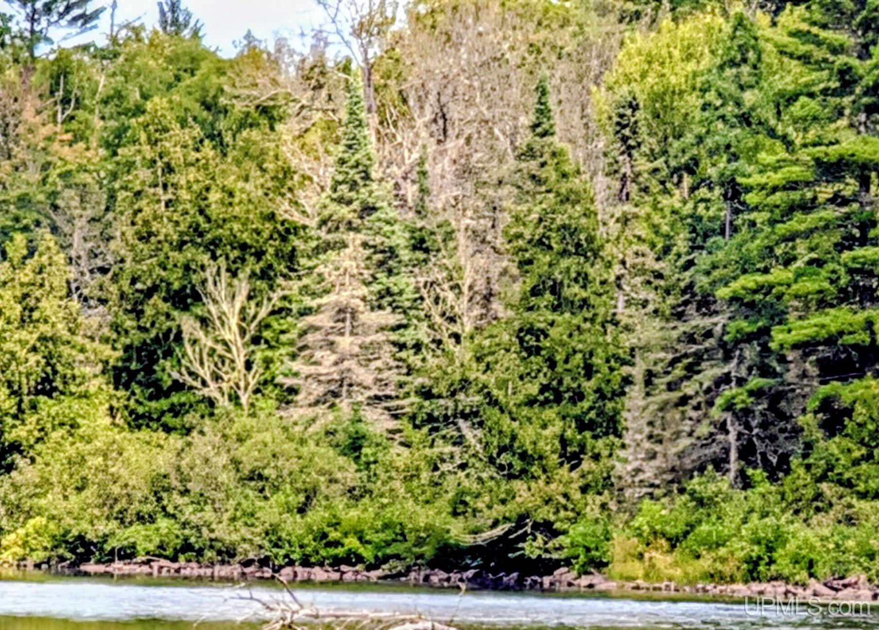 33-acres Off Net River Road Crystal Falls, MI 49920 - Photo 10 of 22