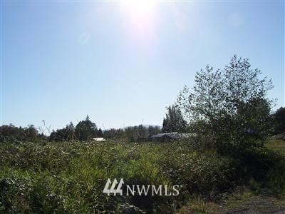 4655 Wynn Road Bellingham, WA 98226 - Photo 3 of 6