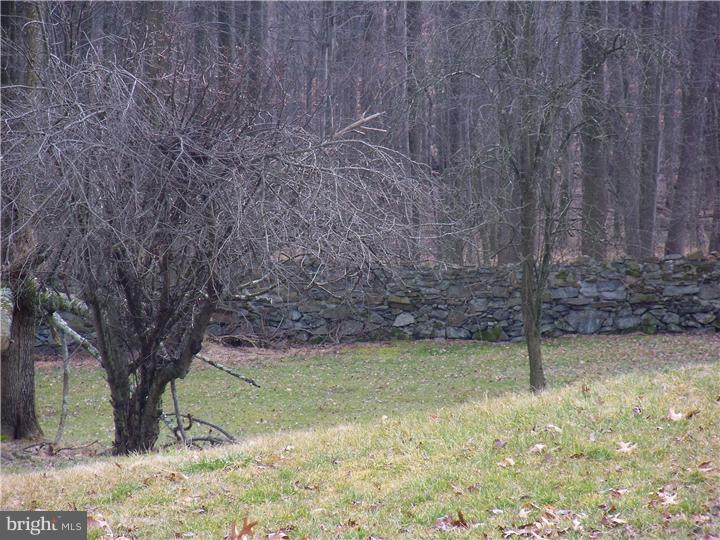 3590 Garnet Mine Road Garnet Valley, PA 19060 - Photo 22 of 24 Back Yard