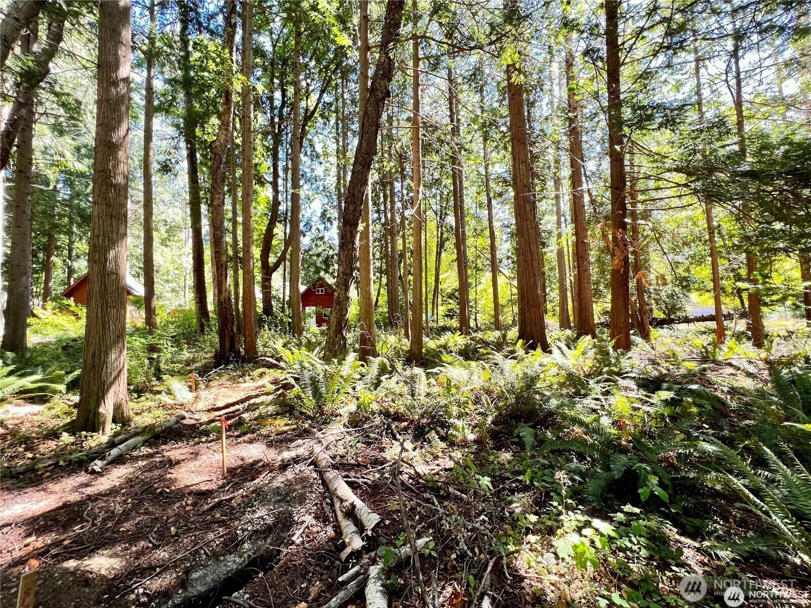 158 Tyee Drive Point Roberts, WA 98281 - Photo 3 of 10 a view of yard