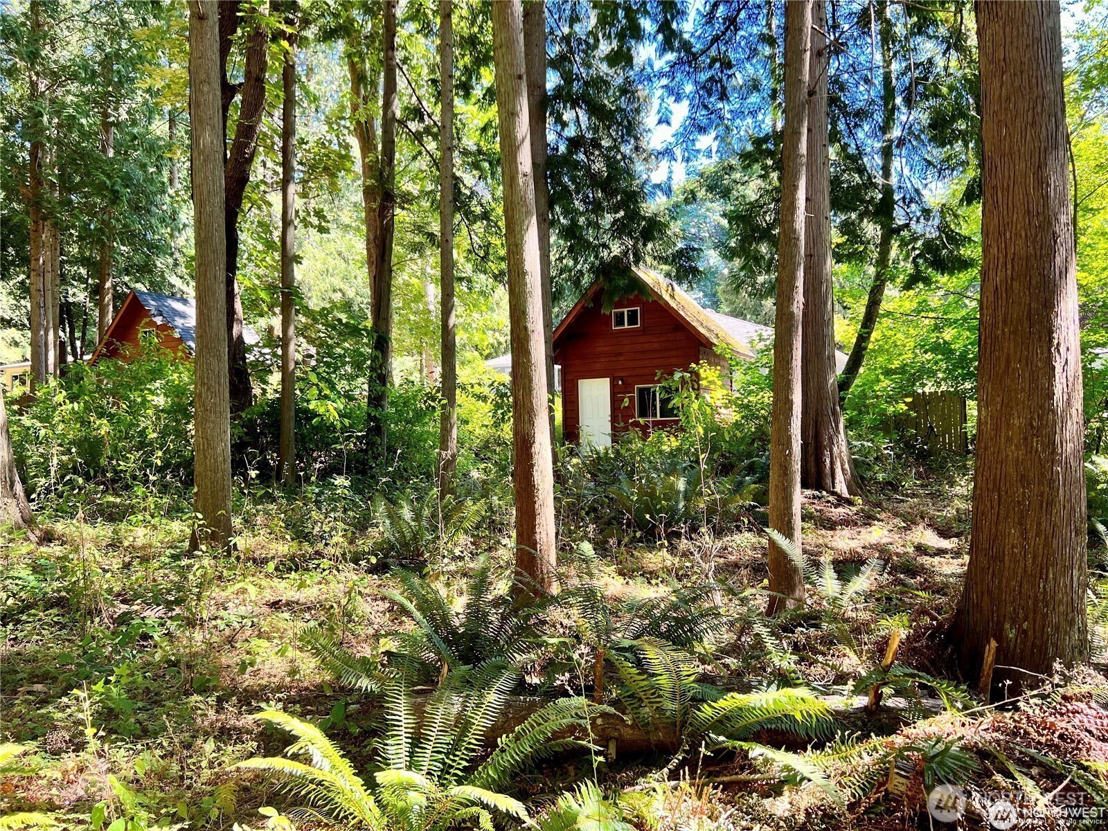 158 Tyee Drive Point Roberts, WA 98281 - Photo 4 of 10 a view of a garden with a tree