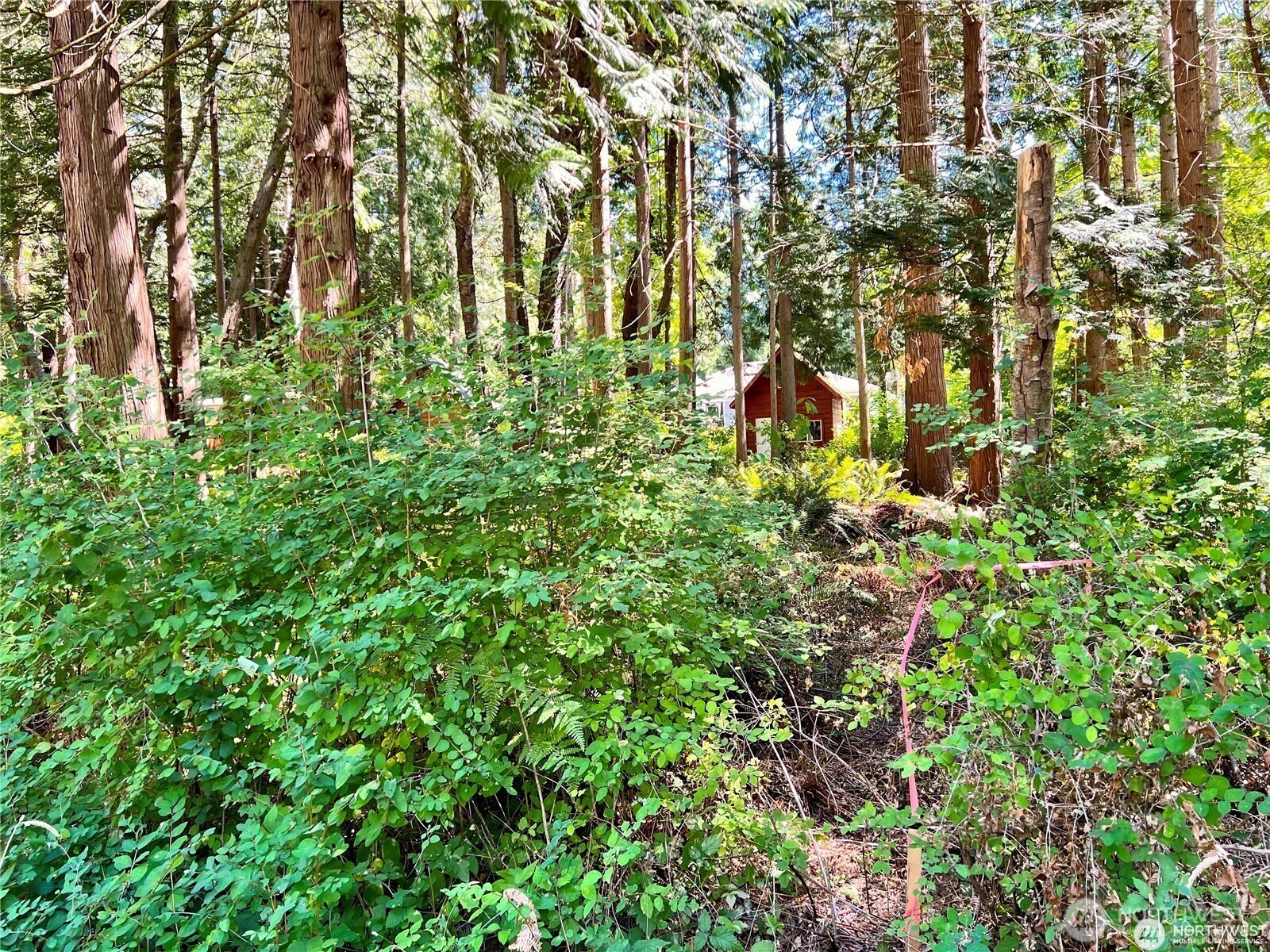 158 Tyee Drive Point Roberts, WA 98281 - Photo 5 of 10