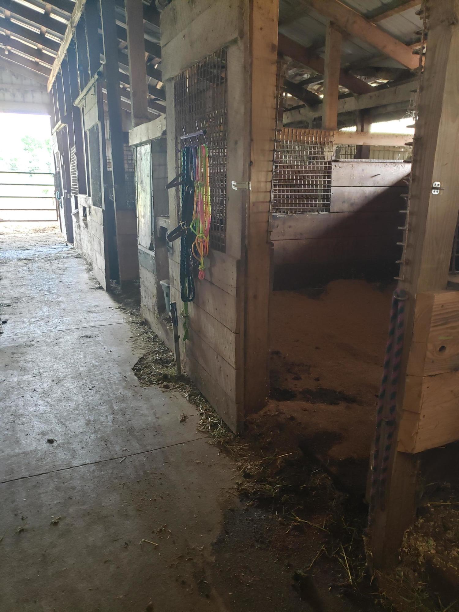 11086 Howard City Edmore Road Lakeview, MI 48850 - Photo 18 of 42 2021-06-02 11.47.30