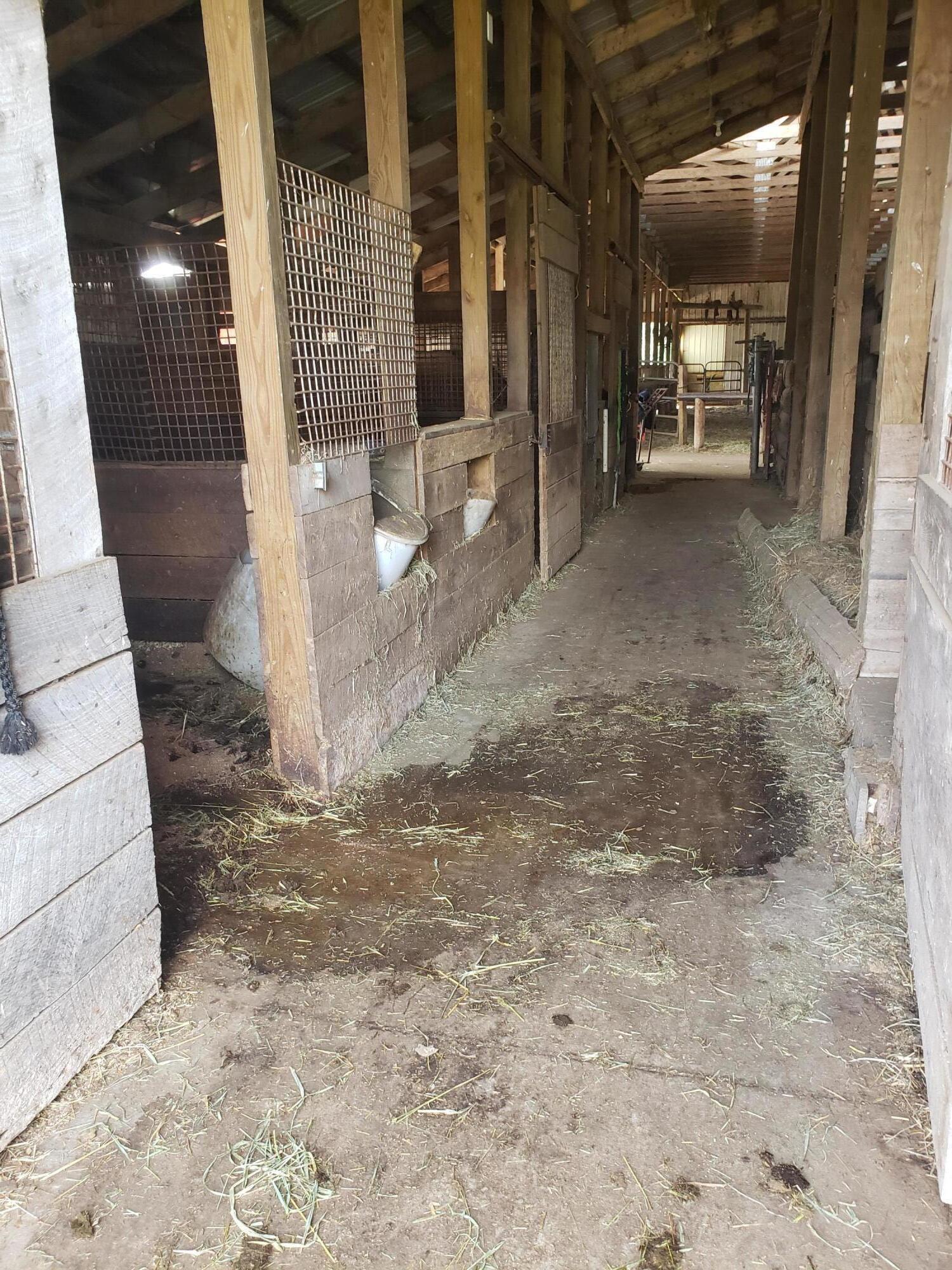 11086 Howard City Edmore Road Lakeview, MI 48850 - Photo 19 of 42 2021-06-02 11.47.47