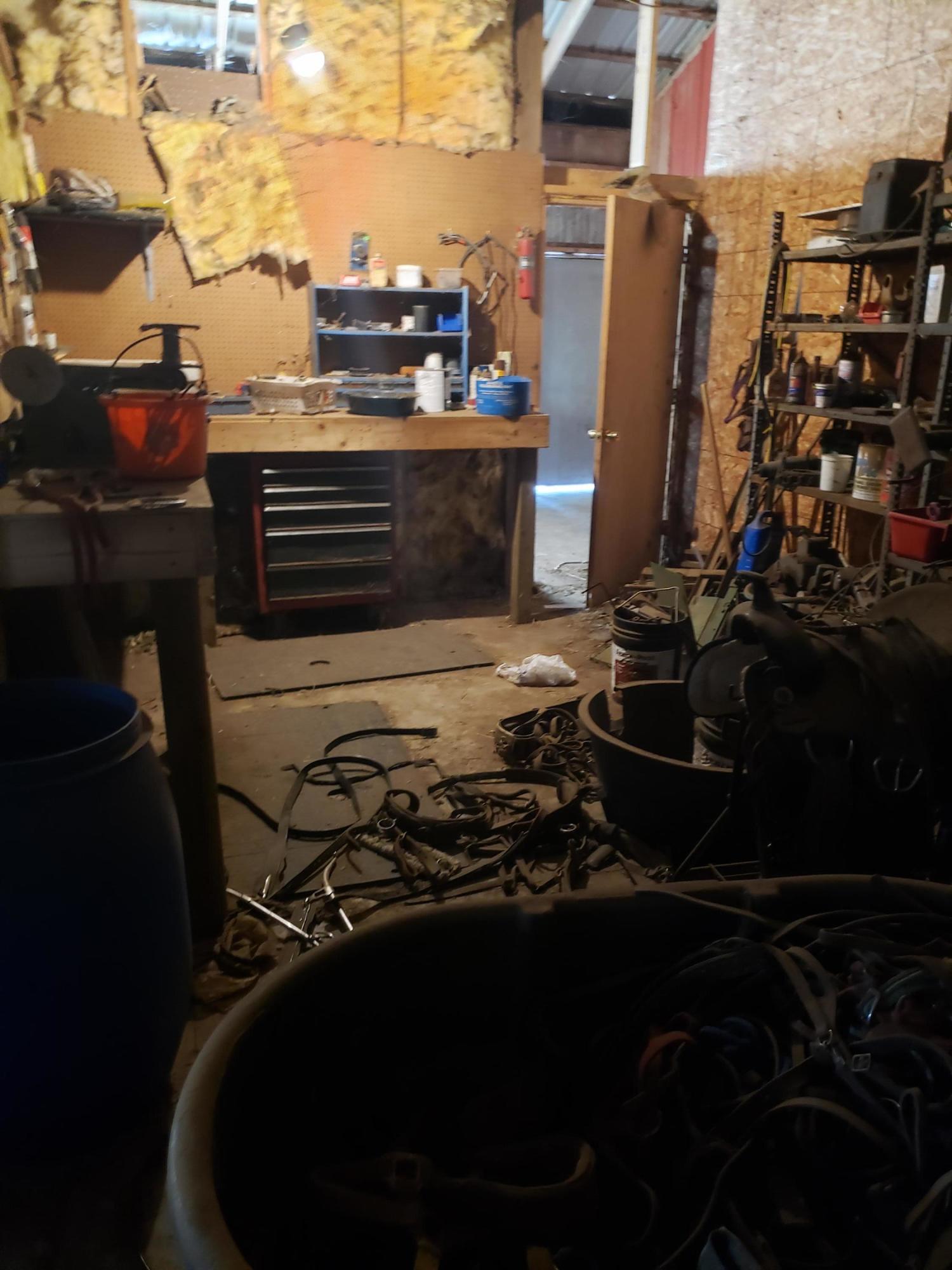 11086 Howard City Edmore Road Lakeview, MI 48850 - Photo 23 of 42 2021-06-02 11.38.24